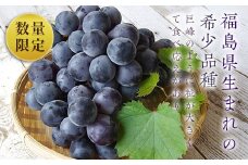 《先行予約》あずましずく 約1.5kg (約500g×3房) ぶどう オリジナル品種 あずましずく 希少 ブドウ 葡萄 くだもの フルーツ デザート 先行予約 予約 F4D-0076