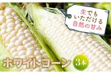 生でもいただける自然の甘み ホワイトコーン (3本) 生 糖度 もぎたて 白 とうもろこし トウモロコシ コーン 野菜 生食 食品 F4D-0518