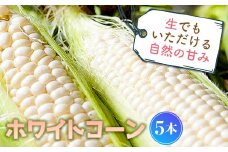 生でもいただける自然の甘み ホワイトコーン (5本) 生 糖度 もぎたて 白 とうもろこし トウモロコシ コーン 野菜 生食 食品 F4D-0519