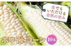 生でもいただける自然の甘み ホワイトコーン (5本) 生 糖度 もぎたて 白 とうもろこし トウモロコシ コーン 野菜 生食 食品 F4D-0520