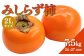 みしらず柿