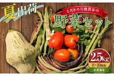 《先行予約》＜夏出荷＞こだわり有機農家の野菜セット 2.5kg(8～10種類) 自然栽培 オーガニック 有機栽培 無農薬 野菜 セット 詰合せ 化学肥料不使用 動物性肥料不使用 先行予約 予約 食品 F4D-0130