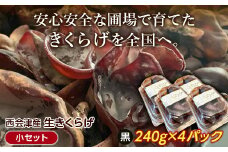 《期間限定》西会津産 生きくらげ 小セット (黒240g×4パック) 完全無農薬 生 きくらげ 木耳 キクラゲ 国産 おつまみ 食品 F4D-0232