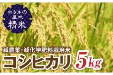 令和7年産 新米【ホタルの里米】環境に配慮し農薬を減らした栽培米 コシヒカリ精米5kg 米 お米 おこめ ご飯 ごはん 福島県 西会津町 F4D-0693