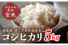 令和7年産 新米【ホタルの里米】環境に配慮し農薬を減らした栽培米 コシヒカリ玄米5kg 米 お米 おこめ ご飯 ごはん 福島県 西会津町 F4D-0695