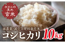 令和7年産 新米【ホタルの里米】環境に配慮し農薬を減らした栽培米 コシヒカリ玄米10kg 米 お米 おこめ ご飯 ごはん 福島県 西会津町 F4D-0696