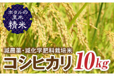 令和7年産 新米【ホタルの里米】環境に配慮し農薬を減らした栽培米 コシヒカリ精米10kg 米 お米 おこめ ご飯 ごはん 福島県 西会津町 F4D-0694