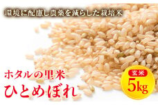 令和7年産 新米【ホタルの里米】環境に配慮し農薬を減らした栽培米 ひとめぼれ玄米5kg 米 お米 おこめ ご飯 ごはん 福島県 西会津町 F4D-0698