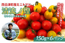 清流ノ煌(せいりゅうのきらめき) ミニトマト (150g×6パック) 西会津町産 野菜 やさい 坂井農園 サラダ 生野菜 小分け トマト 赤色 黄色 国産 お弁当 食品 F4D-0482