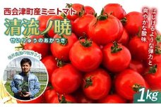 【令和7年8月初旬～9月一杯発送予定】坂井農園 栽培期間中農薬不使用、不耕起栽培西会津ミネラルミニトマト（1kg）（清流ノ暁） 西会津町産 清流ノ暁 野菜 やさい サラダ 生野菜 小分け トマト 国産 お弁当 食品 F4D-0481