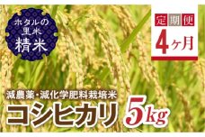  ＜定期便4ヶ月＞【ホタルの里米】環境に配慮し農薬を減らした栽培米 コシヒカリ精米5kg F4D-1434