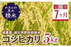  ＜定期便7ヶ月＞【ホタルの里米】環境に配慮し農薬を減らした栽培米 コシヒカリ精米5kg F4D-1437
