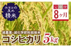  ＜定期便8ヶ月＞【ホタルの里米】環境に配慮し農薬を減らした栽培米 コシヒカリ精米5kg F4D-1438