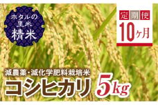  ＜定期便10ヶ月＞【ホタルの里米】環境に配慮し農薬を減らした栽培米 コシヒカリ精米5kg F4D-1440
