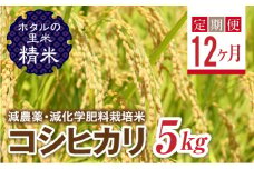  ＜定期便12ヶ月＞【ホタルの里米】環境に配慮し農薬を減らした栽培米 コシヒカリ精米5kg F4D-1442