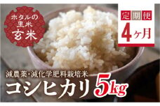  ＜定期便4ヶ月＞【ホタルの里米】環境に配慮し農薬を減らした栽培米 コシヒカリ玄米5kg F4D-1445