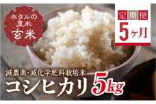  ＜定期便5ヶ月＞【ホタルの里米】環境に配慮し農薬を減らした栽培米 コシヒカリ玄米5kg F4D-1446
