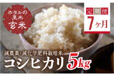  ＜定期便7ヶ月＞【ホタルの里米】環境に配慮し農薬を減らした栽培米 コシヒカリ玄米5kg F4D-1448