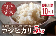  ＜定期便10ヶ月＞【ホタルの里米】環境に配慮し農薬を減らした栽培米 コシヒカリ玄米5kg F4D-1451