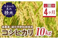  ＜定期便4ヶ月＞【ホタルの里米】環境に配慮し農薬を減らした栽培米 コシヒカリ精米10kg F4D-1456
