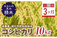  ＜定期便3ヶ月＞【ホタルの里米】環境に配慮し農薬を減らした栽培米 コシヒカリ精米10kg F4D-1455