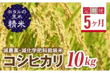  ＜定期便5ヶ月＞【ホタルの里米】環境に配慮し農薬を減らした栽培米 コシヒカリ精米10kg F4D-1457