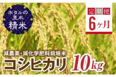  ＜定期便6ヶ月＞【ホタルの里米】環境に配慮し農薬を減らした栽培米 コシヒカリ精米10kg F4D-1458
