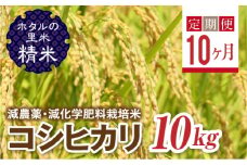  ＜定期便10ヶ月＞【ホタルの里米】環境に配慮し農薬を減らした栽培米 コシヒカリ精米10kg F4D-1462