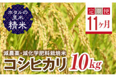  ＜定期便11ヶ月＞【ホタルの里米】環境に配慮し農薬を減らした栽培米 コシヒカリ精米10kg F4D-1463