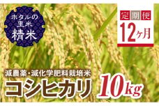  ＜定期便12ヶ月＞【ホタルの里米】環境に配慮し農薬を減らした栽培米 コシヒカリ精米10kg F4D-1464