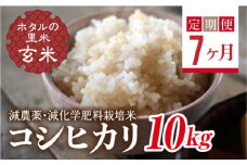  ＜定期便7ヶ月＞【ホタルの里米】環境に配慮し農薬を減らした栽培米 コシヒカリ玄米10kg F4D-1470