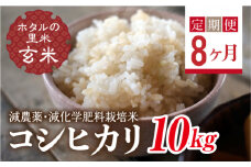  ＜定期便8ヶ月＞【ホタルの里米】環境に配慮し農薬を減らした栽培米 コシヒカリ玄米10kg F4D-1471