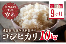  ＜定期便9ヶ月＞【ホタルの里米】環境に配慮し農薬を減らした栽培米 コシヒカリ玄米10kg F4D-1472