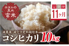  ＜定期便11ヶ月＞【ホタルの里米】環境に配慮し農薬を減らした栽培米 コシヒカリ玄米10kg F4D-1474