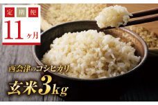 ＜定期便11ヶ月＞ 令和6年産米  西会津産米コシヒカリ 玄米 3kg F4D-1111