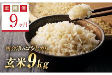  ＜定期便9ヶ月＞ 令和6年産米  西会津産米コシヒカリ 玄米 9kg（ 4.5kg×2袋） F4D-1175