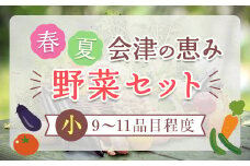 春夏の会津発季節の野菜だより(小)＜9～11品目程度＞ 朝採れ 野菜 セット 詰合せ 契約農家 朝採り 採れたて 新鮮 会津野菜 食品 F4D-1407
