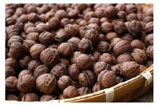 殻つき 会津の鬼ぐるみ1kg