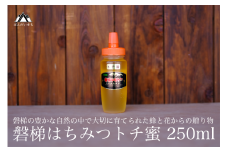 国産純粋はちみつ 天然 磐梯養蜂 磐梯はちみつ 250g［チューブ］ トチ