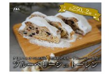 【クリスマスまでに発送】【先行予約】ブルーベリー シュトーレン （小） 250g前後×2個