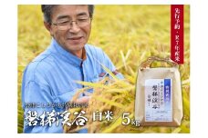 【先行予約・新米】Aランク会津コシヒカリ特別栽培米「磐梯渓谷」 （減農薬栽培）（白米5kg）