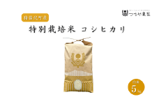 【令和7年度産 新米】 つちや農園 猪苗代町産 特別栽培米コシヒカリ 5kg（精米）| お米 米 こしひかり ※2025年11月上旬頃より順次発送予定