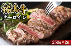 ＼レビュー投稿でお米プレゼント／福島牛サーロイン250g×2枚 冷凍 自慢の逸品 [№5771-1289]