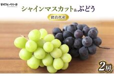 [2025年先行予約］ぶどう シャインマスカット・BKシードレス 詰合せ 種なし 各1房 合計約1kg以上 猪苗代 福島 予約 [№5771-1302] ※2025年9月中旬頃より順次発送予定