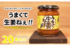 ＼レビュー投稿でお米プレゼント／うまくて生姜ねぇ!!20本セット 【しょうが 国産 醤油漬け ごはんのお供 お弁当 調味料 おつまみ 肴 薬味 隠し味 猪苗代町 福島県】[№5771-1316]