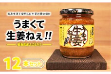 ＼レビュー投稿でお米プレゼント／うまくて生姜ねぇ!!12本セット 【しょうが 国産 醤油漬け ごはんのお供 お弁当 調味料 おつまみ 肴 薬味 隠し味 猪苗代町 福島県】[№5771-1317]