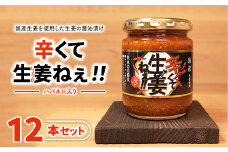 ＼レビュー投稿でお米プレゼント／辛くて生姜ねぇ!!12本セット 【しょうが 国産 醤油漬け ハバネロ ごはんのお供 お弁当 調味料 おつまみ 肴 薬味 隠し味 猪苗代町 福島県】[№5771-1319]