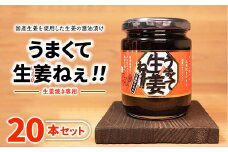 ＼レビュー投稿でお米プレゼント／うまくて生姜ねぇ!!生姜焼き専用20本セット 【しょうが 国産 醤油漬け しょうが焼き タレ ごはんのお供 調味料 薬味 隠し味 猪苗代町 福島県】[№5771-1322]