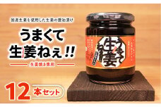 ＼レビュー投稿でお米プレゼント／うまくて生姜ねぇ!!生姜焼き専用12本セット 【しょうが 国産 醤油漬け しょうが焼き タレ ごはんのお供 調味料 薬味 隠し味 猪苗代町 福島県】[№5771-1323]