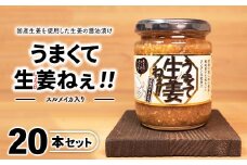 ＼レビュー投稿でお米プレゼント／スルメイカ入りうまくて生姜ねぇ!!20本セット 【しょうが 国産 醤油漬け するめいか ごはんのお供 お弁当 調味料 おつまみ 肴 薬味 隠し味 猪苗代町 福島県】[№5771-1334]